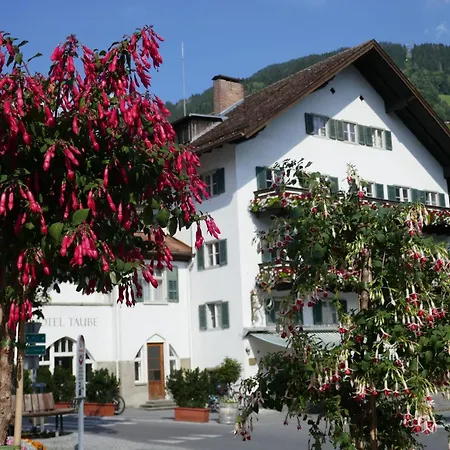 Sonnenlicht Appartamento